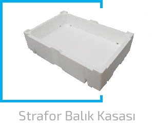 strafor balık kasası