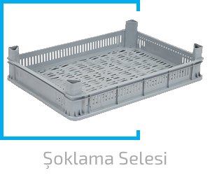 Plastik Şoklama Selesi